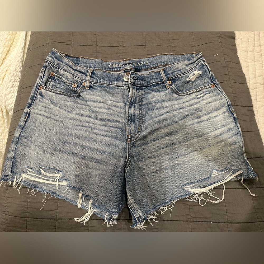 American Eagle Outfitters Women's Distressed Blue Denim Shorts